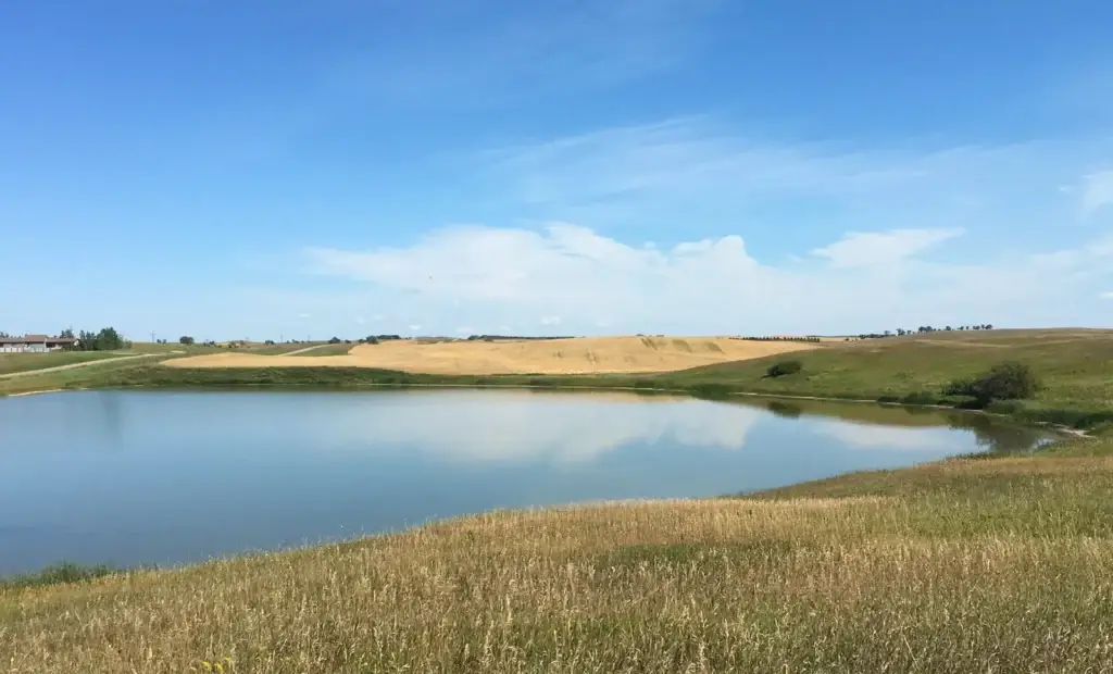 Prairie pond and grassland in North Dakota under a blue sky